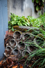 old clay pipes and grenery