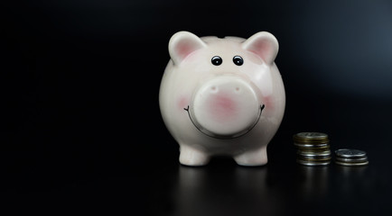 piggy bank with coins for savings and deposit