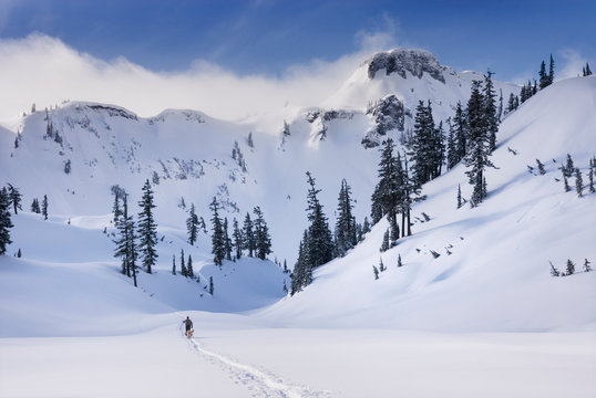 Snowy mountains overlooking Heather Meadows, Washington, United States