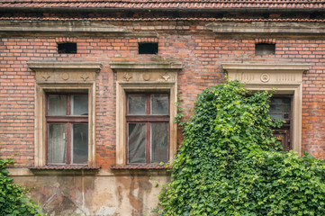 Abandoned old brick building with windows and ivy in Krakow