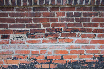 Red Brick Wall Texture with Sill