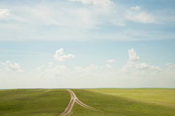 Forked dirt road in remote landscape