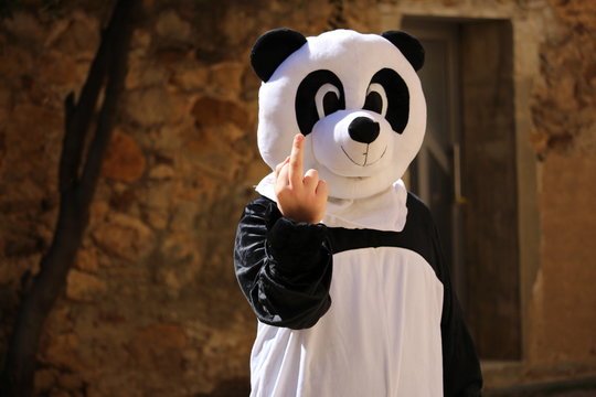 panda rebel