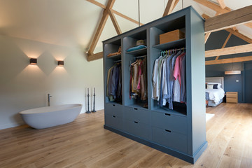 Closet and bathtub in modern bedroom