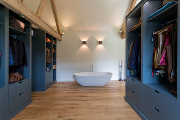 Closet and bathtub in modern bedroom