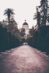 Fototapeta premium park