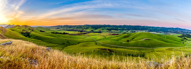 Panorama of green rolling hills and grass at sunset