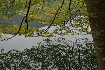 Reflection in the water