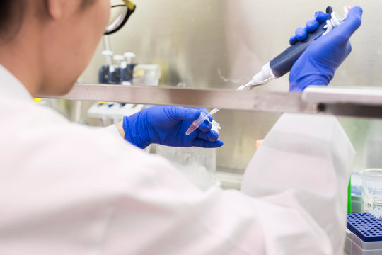 Asian scientist using pipette - Powered by Adobe