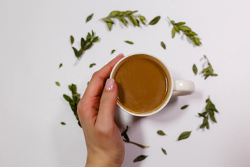 Healthy drink in White mug with a hot drink in the hands of girl on background of dry green petals on a white background. Composition of coffee mug with milk and dry green petals on paper background