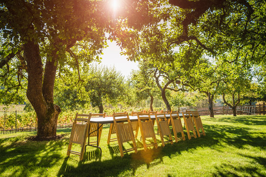 Folded chairs leaning on table in backyard