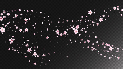 Nice Sakura Blossom Isolated Vector. Pastel Showering 3d Petals Wedding Paper. Japanese Gradient Flowers Wallpaper. Valentine, Mother's Day Spring Nice Sakura Blossom Isolated on Black - 265551204