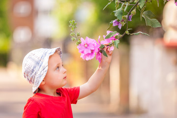 Little boy smelling flowers
