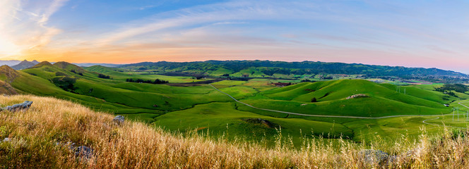 Panorama of green hills of grass at sunrise