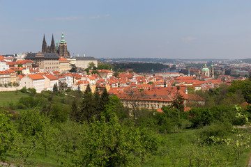 Obraz premium Spring Prague City with gothic Castle and the green Nature and flowering Trees from the Hill Petrin, Czech Republic