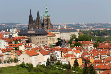 Spring Prague City with gothic Castle and the green Nature and flowering Trees from the Hill Petrin, Czech Republic