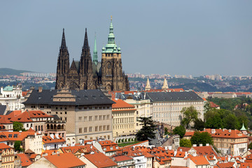 Obraz premium Spring Prague City with gothic Castle and the green Nature and flowering Trees from the Hill Petrin, Czech Republic