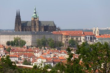 Fototapeta premium Spring Prague City with gothic Castle and the green Nature and flowering Trees from the Hill Petrin, Czech Republic