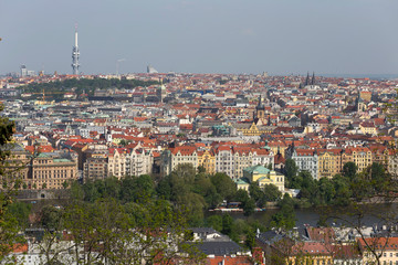 Fototapeta premium Spring Prague City with green Nature and flowering Trees from the Hill Petrin, Czech Republic