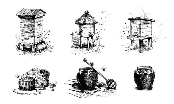Honey, beehives and pots of honey. Set of vector images.