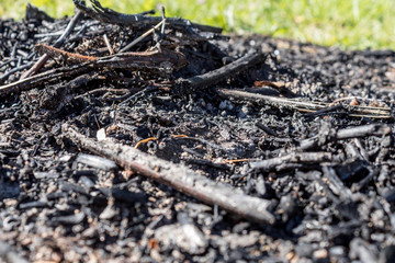 Nature burned, dark background with ashes in contrast to green vegetation