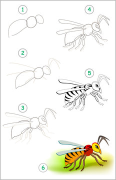 Educational page for kids shows how to learn step by step to draw a cute insect hornet. Back to school. Developing children skills for drawing and coloring. Vector cartoon image.