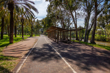 Beautiful view of a pathway in Yarkon Park during a vibrant sunny day. Taken in Tel Aviv, Israel.