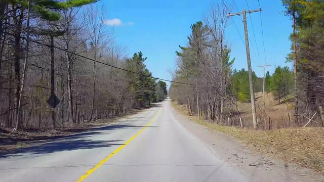 Driving Countryside Forest During Spring Day.  Driver Point of View POV Along Beautiful Sunny  Woodland Trees Scenery.