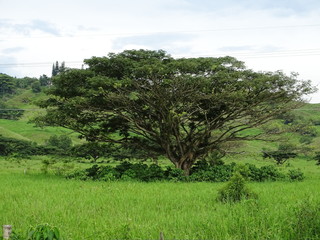 Obraz premium paisaje