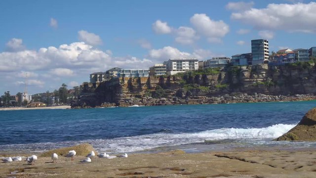 4k Video -Sunny calm day at Freshwater Beach in Sydney at the Northern Shores with puffy clouds in the background against the waterfront and some seagulls on the rocks in the foreground in Australia.