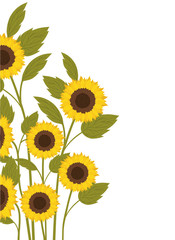 pattern of sunflowers isolated icon