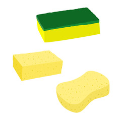 Vector illustration of a kind of sponge for washing items in a kitchen with a white background