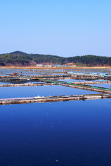 a salt pond in the Taean-gun of Korea