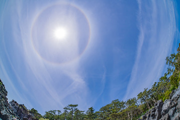 静岡県伊東市　城ヶ崎海岸　魚眼レンズ