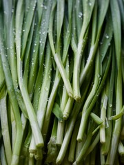 한국의 유기농 야채 부추