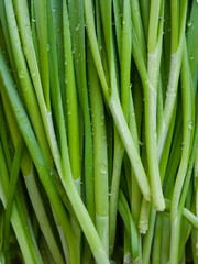 한국의 유기농 야채 부추