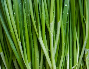 한국의 유기농 야채 부추