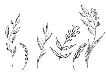 Hand Drawn  Illustrations Of Abstract Set of Flowers Isolated on White. Hand Drawn Sketch of a...