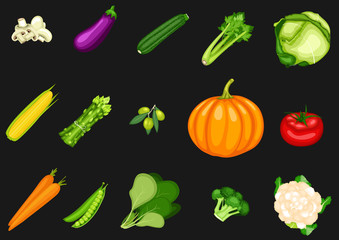 Collection of vegetables on a black background