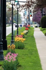 sidewalk lined with flower beds of tulips