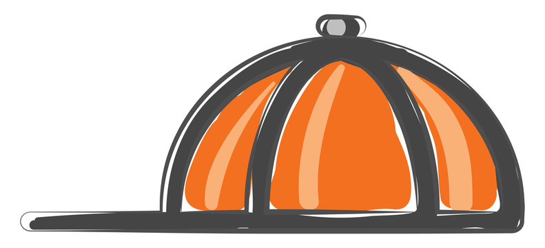 Painting of an orange cap vector or color illustration