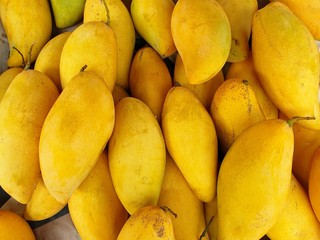 Top view of fresh yellow mango as a background in the market at Thailand (Mangifera indica),...