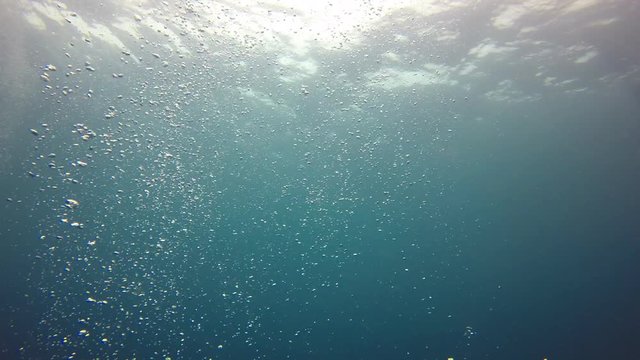 Underwater video of air bubbles rising in sea
