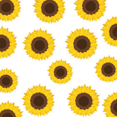 pattern of sunflowers isolated icon