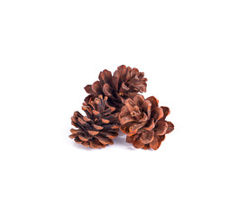 Pine cones isolated on a white background