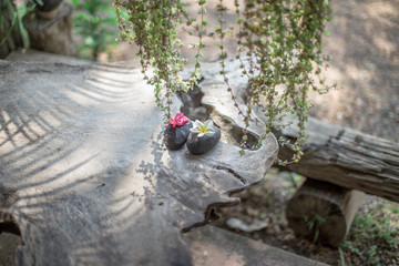 Blurred background of decorative items on wooden tables (flower vases, stones, newspapers, glassware) that are beautifully decorated to satisfy the customers who come to use in the shop.
