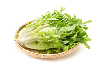 レタス修道士のあごひげ