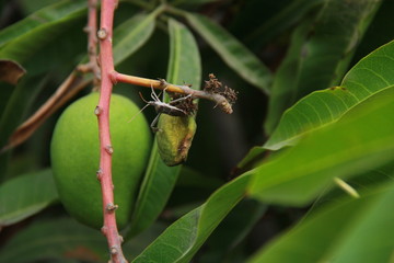 Inmenso mundo pequeño