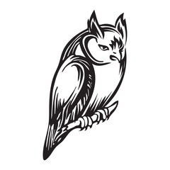 Hand drawn sitting owl outline sketch. Vector bird animal black ink drawing isolated on white background. Graphic illustration