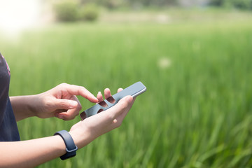 Smart farming Agricultural technology and organic agriculture Woman using smartphone in rice field...